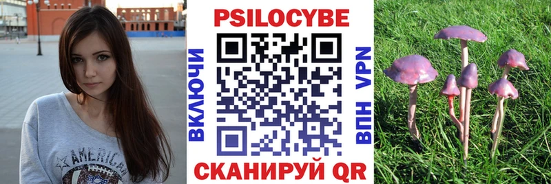 Псилоцибиновые грибы MAGIC MUSHROOMS  Липки 